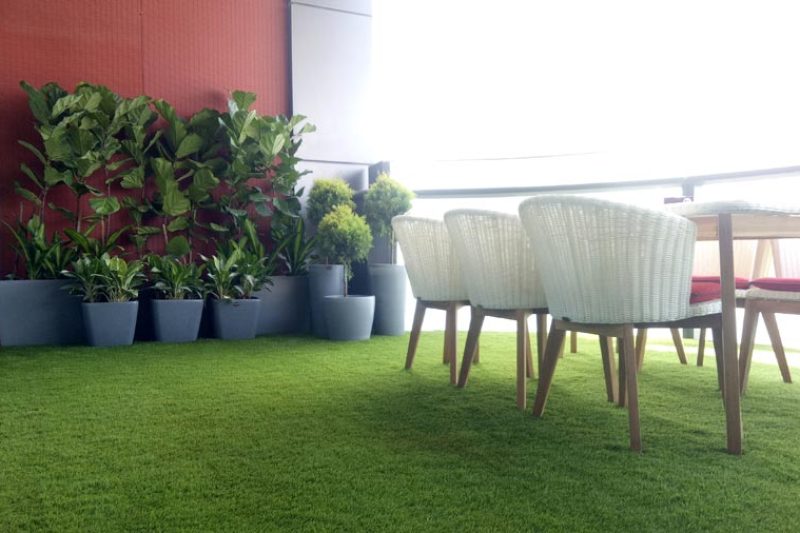 Artificial-Lawn_01-900x600